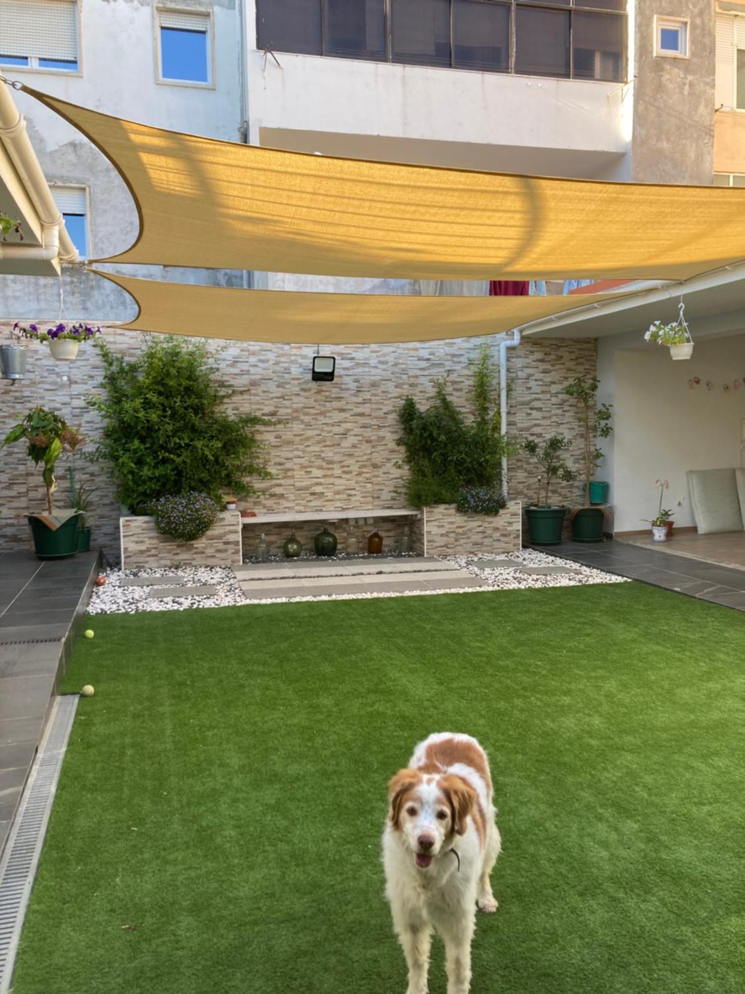 Apartament Casanossa Setúbal Zewnętrze zdjęcie